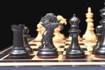chessnut sensor compatible piece - 3.75'' Lion chess pieces spacial making for chessnut buyer [ dril hole pieces ] - Image 5