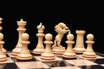chessnut sensor compatible piece - 3.75'' Lion chess pieces spacial making for chessnut buyer [ dril hole pieces ] - Image 7